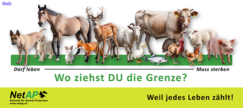 Tierschutz Organisation NetAP